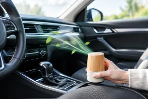 Ratgeber für Geruchssanierung im Auto und Innenraum
